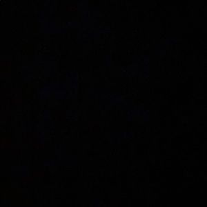 Meet your Posher, Will